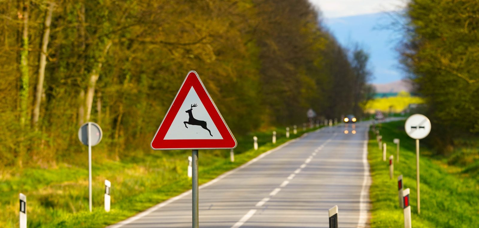Verkehrszeichen Wildwechsel an einer Landstraße am Waldrand