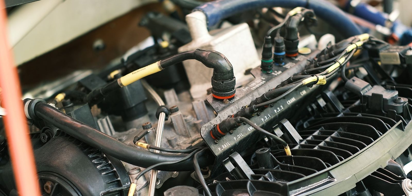 Marderbiss an Kabeln im Motorraum